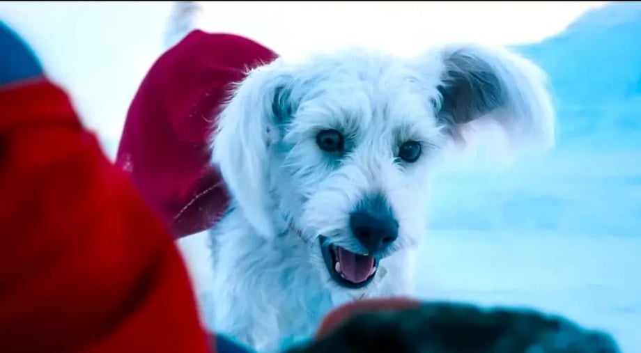 SUPERMAN - James Gunn Talks KRYPTO's Inspiration, His Dog Ozu
