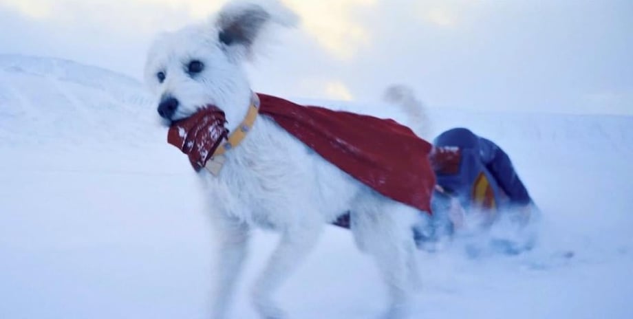 SUPERMAN: Life-Size Statue Of David Corenswet's Man Of Steel With Krypto Unveiled At Mumbai Comic Con