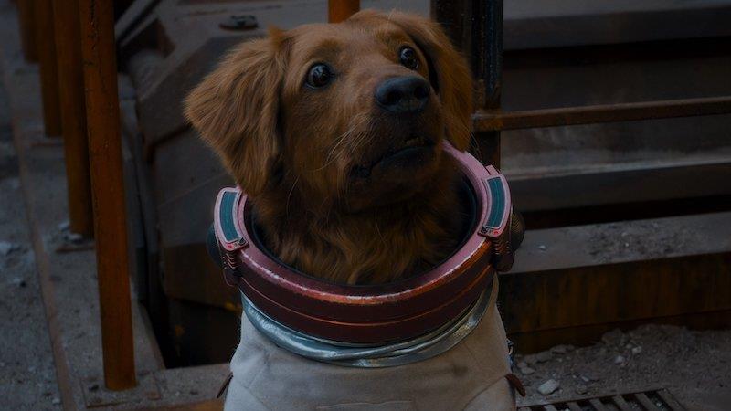 GUARDIANS OF THE GALAXY VOL. 3 Featurette Sees The Movie's Cast And Crew Prepare For "One Last Ride" - Vimarsana News