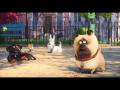 Animated Features Trailer/Video - THE SECRET LIFE OF PETS Official Trailer #4 2016 