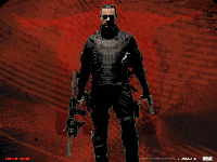 Official Punisher: War Zone Wallpaper 5